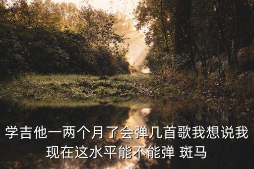 學吉他一兩個月了會彈幾首歌我想說我現在這水平能不能彈 斑馬