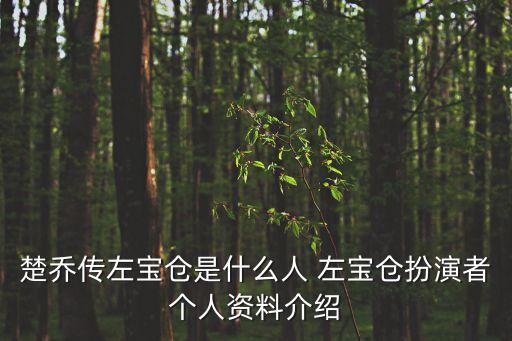 楚喬傳左寶倉是什么人 左寶倉扮演者個人資料介紹