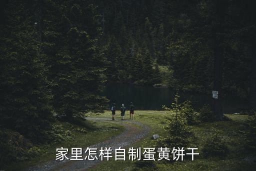家里怎樣自制蛋黃餅干