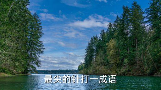 最尖的針打一成語