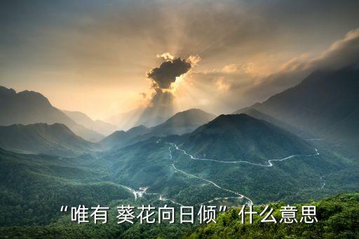 “唯有 葵花向日傾”什么意思