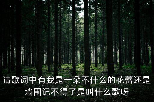 請歌詞中有我是一朵不什么的花蕾還是墻圍記不得了是叫什么歌呀