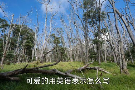 可愛(ài)的的英文，可愛(ài)的用英語(yǔ)表示怎么寫(xiě)