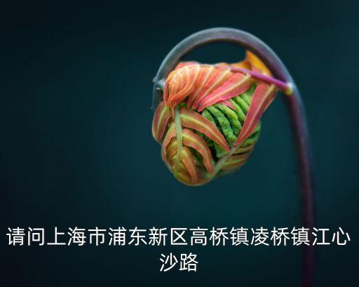 請問上海市浦東新區高橋鎮凌橋鎮江心沙路