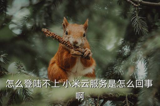 怎么登陸不上 小米云服務(wù)是怎么回事啊