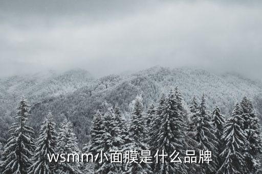 wsmm小面膜是什么品牌