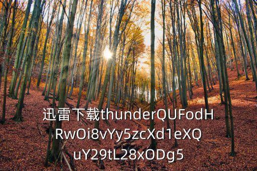 迅雷下載thunderQUFodHRwOi8vYy5zcXd1eXQuY29tL28xODg5