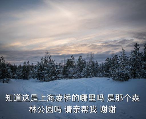 知道這是上海凌橋的哪里嗎 是那個森林公園嗎 請親幫我 謝謝