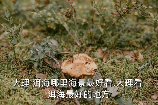大理 洱海哪里海景最好看,大理看 洱海最好的地方