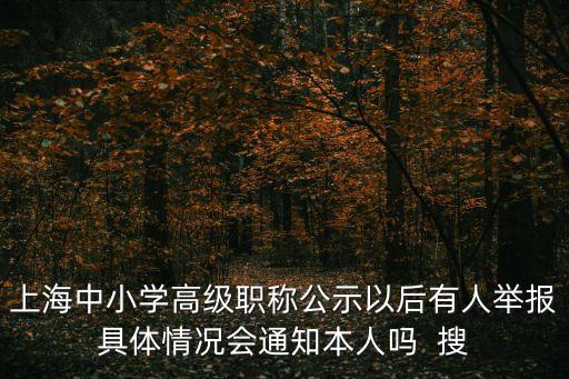 上海中小學(xué)高級(jí)職稱公示以后有人舉報(bào)具體情況會(huì)通知本人嗎  搜
