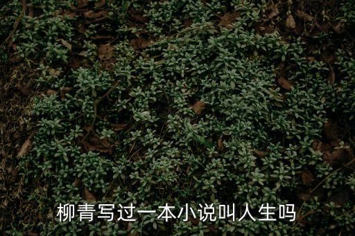 柳青作品，柳青寫過一本小說叫人生嗎