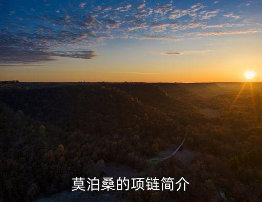 莫泊桑的項(xiàng)鏈簡(jiǎn)介