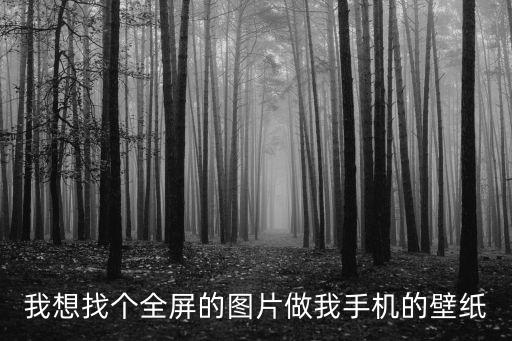 我想找個全屏的圖片做我手機的壁紙
