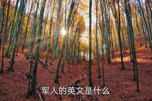 軍人的英文是什么