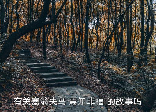 有關塞翁失馬 焉知非福 的故事嗎
