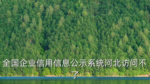 全國企業信用信息公示系統河北訪問不了
