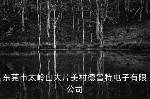 東莞市太嶺山大片美村德普特電子有限公司
