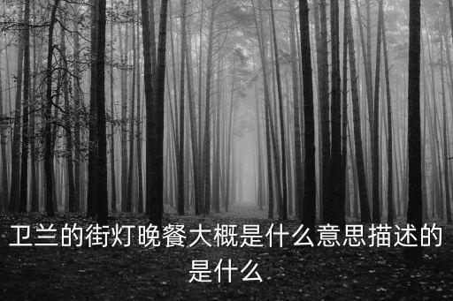 衛(wèi)蘭的街燈晚餐大概是什么意思描述的是什么