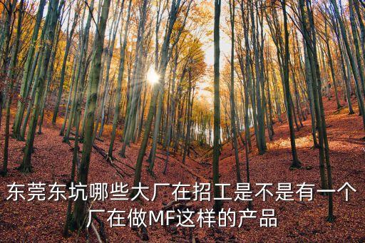 東莞東坑哪些大廠在招工是不是有一個廠在做MF這樣的產品