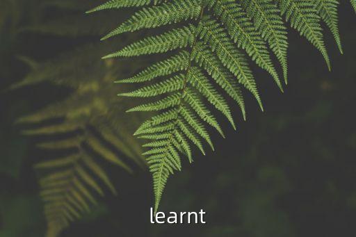 leapt，leapleaptleapt是對的還是leapleapedleaped是對的還是leapleaped