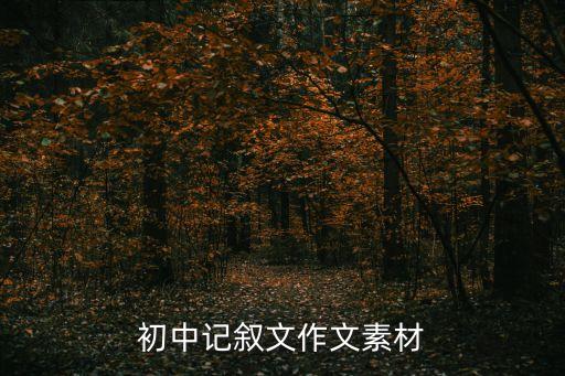 初中記敘文作文素材