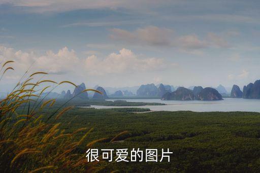 圖片壁紙可愛(ài)，可愛(ài)的圖片