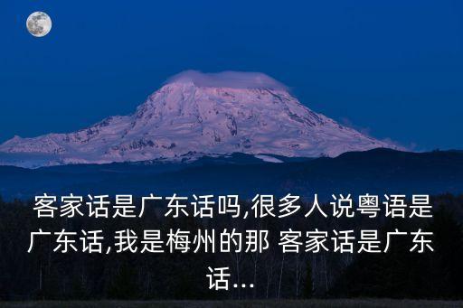 客家話,第二集:客家yu客家話是漢語家族的一種語言