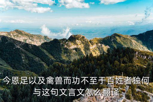 今恩足以及禽獸而功不至于百姓者獨(dú)何與這句文言文怎么翻譯