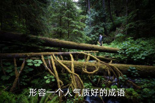 形容一個(gè)人氣質(zhì)好的成語(yǔ)