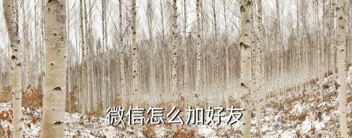 添加微信好友，微信怎么加好友
