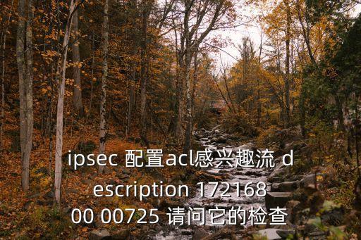 ipsec配置，ipsec 配置acl感興趣流 description 17216800 00725 請問它的檢查