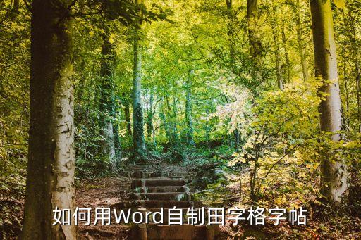 如何用Word自制田字格字帖