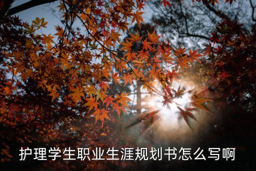 護理學生職業生涯規劃書怎么寫啊