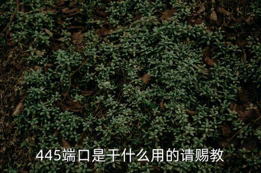 445端口，445端口是什么類型的端口