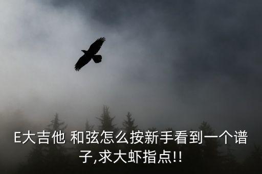 E大吉他 和弦怎么按新手看到一個譜子,求大蝦指點!!