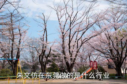 朱文仿在東莞做的是什么行業