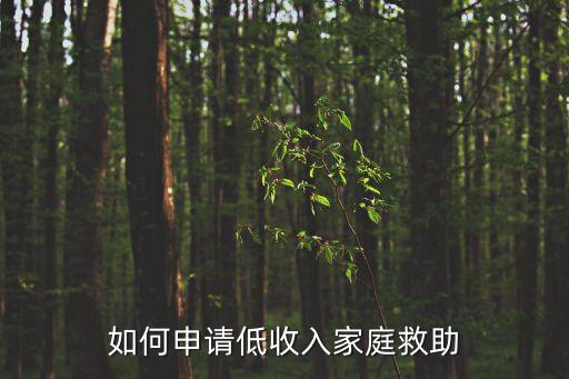 如何申請低收入家庭救助