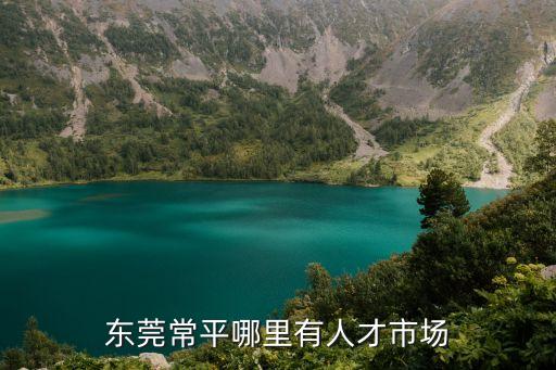 東莞常平哪里有人才市場
