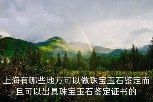 上海有哪些地方可以做珠寶玉石鑒定而且可以出具珠寶玉石鑒定證書的