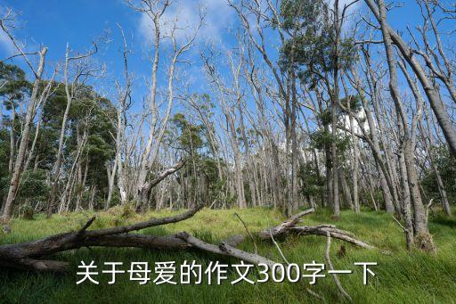 愛的作文300字，有關愛的作文300字