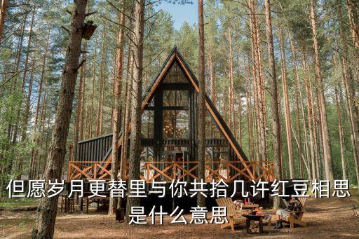 但愿歲月更替里與你共拾幾許紅豆相思是什么意思