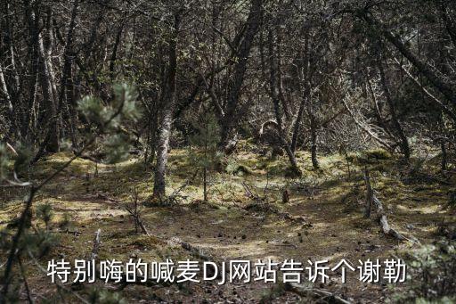 特別嗨的喊麥DJ網站告訴個謝勒