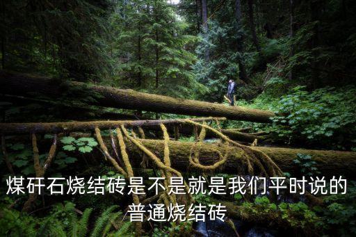 煤矸石燒結磚是不是就是我們平時說的普通燒結磚