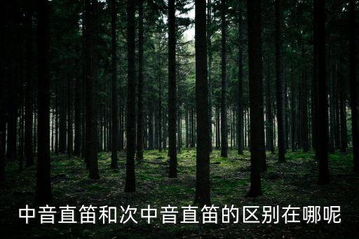 中音直笛和次中音直笛的區(qū)別在哪呢