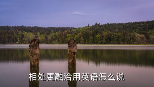 相處融洽英語，相處融洽英語翻譯
