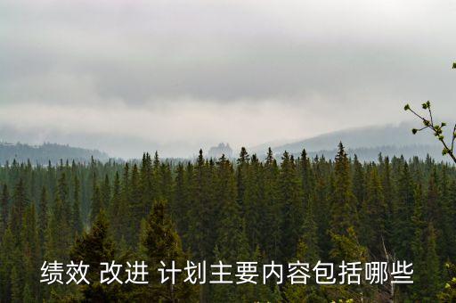 改進(jìn)計(jì)劃,管理者與員工共同參與的過程分四個(gè)階段進(jìn)行改進(jìn)