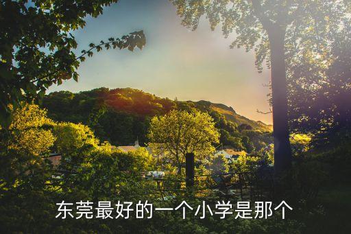 東莞最好的一個小學是那個