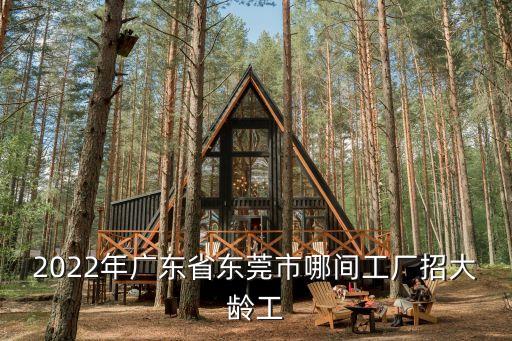 2022年廣東省東莞市哪間工廠招大齡工