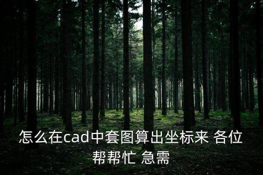 怎么在cad中套圖算出坐標來 各位幫幫忙 急需