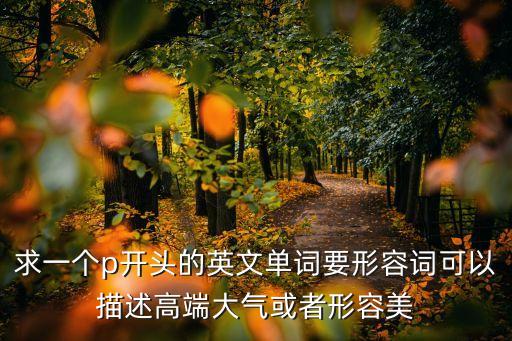 求一個(gè)p開頭的英文單詞要形容詞可以描述高端大氣或者形容美
